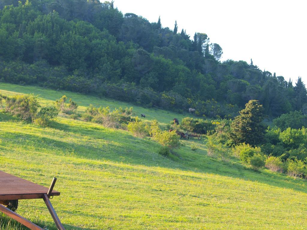Agriturismo Becerca Vegan Serra San Quirico Exterior photo