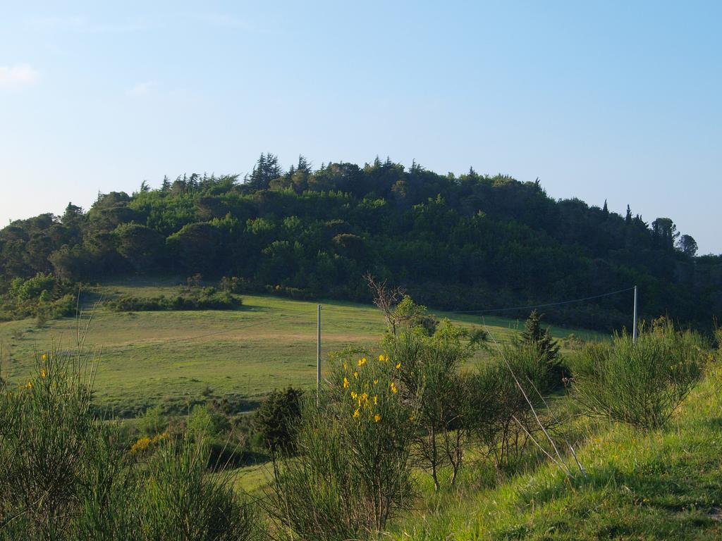 Agriturismo Becerca Vegan Serra San Quirico Exterior photo