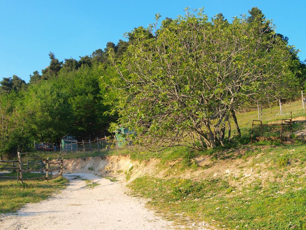 Agriturismo Becerca Vegan Serra San Quirico Exterior photo
