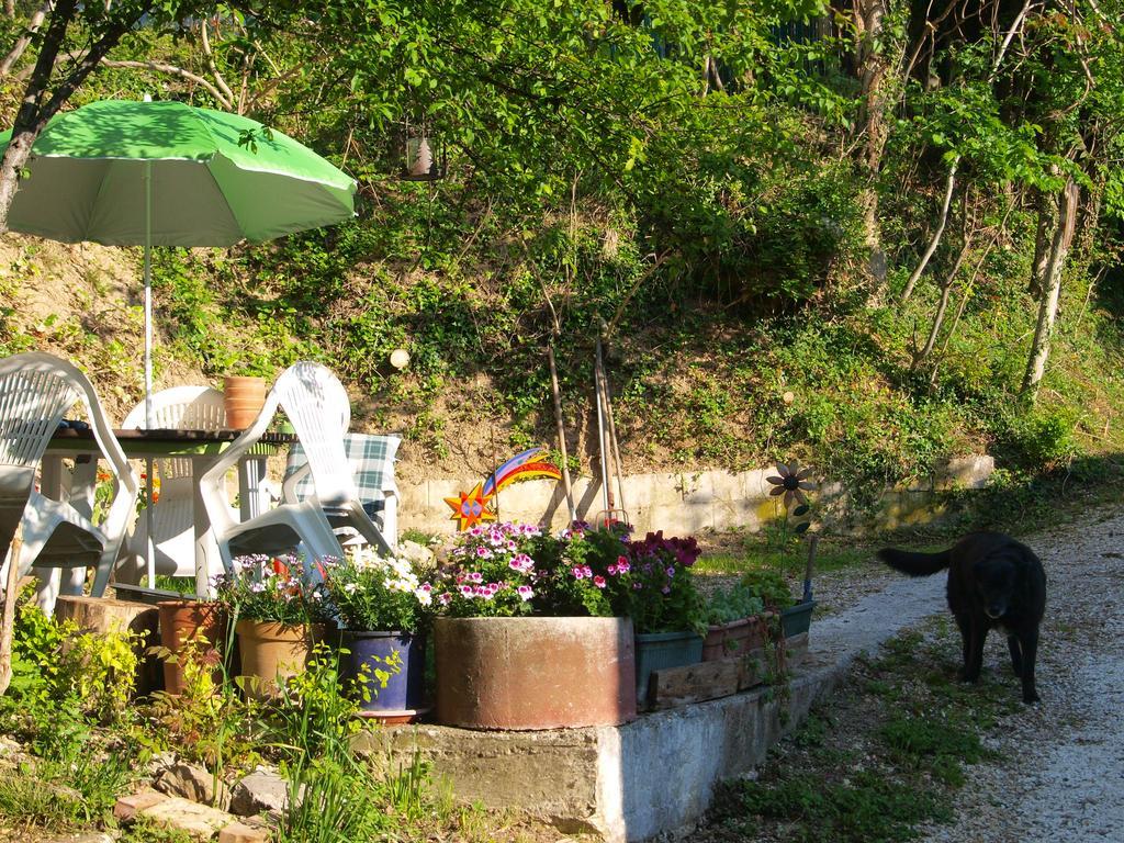 Agriturismo Becerca Vegan Serra San Quirico Exterior photo